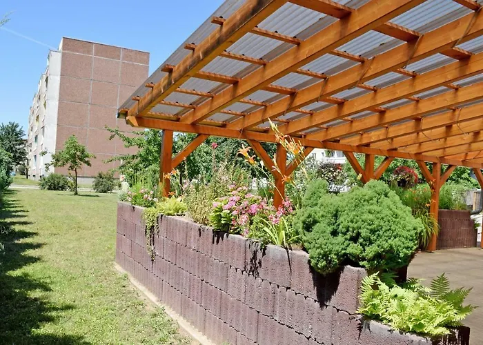 ホームステイ Ferienwohnung/ Ferienzimmer Asche